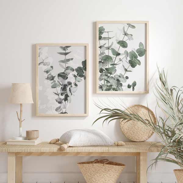 conjunto de dos cuadros de flores eucalipto, estilo nórdico - kuadro