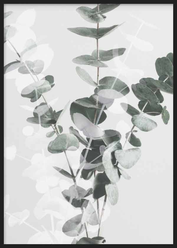 cuadro para lámina decorativa de flor de eucalipto en estilo nórdico - kuadro