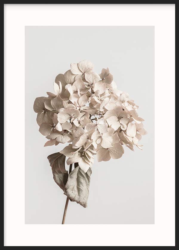 cuadro para lámina decorativa fotográfica y floral de estilo nórdico y tonos beige - kuadro