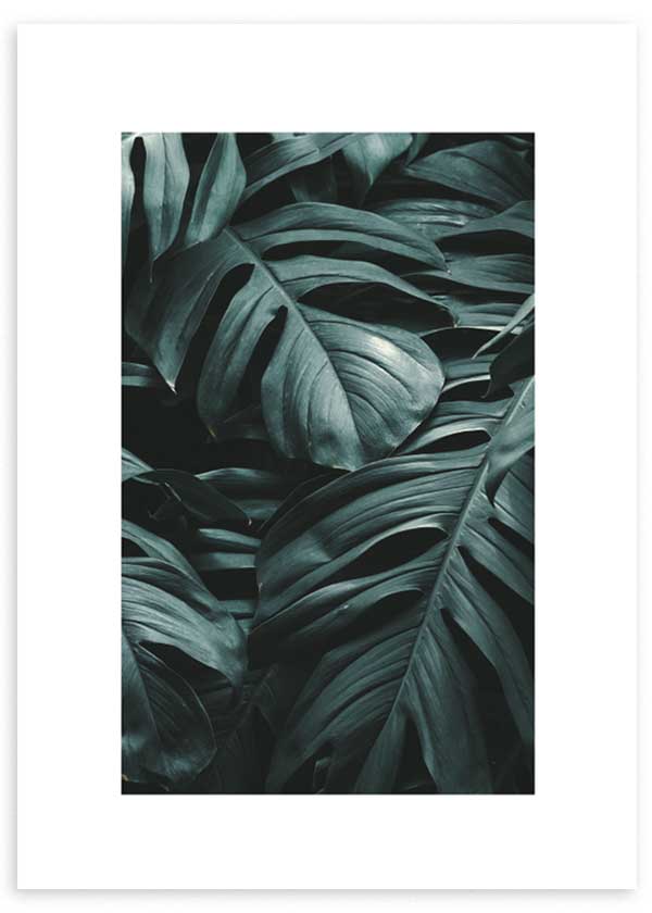 Cuadro fotográfico de flores y naturaleza en tonos verdes. Marco negro