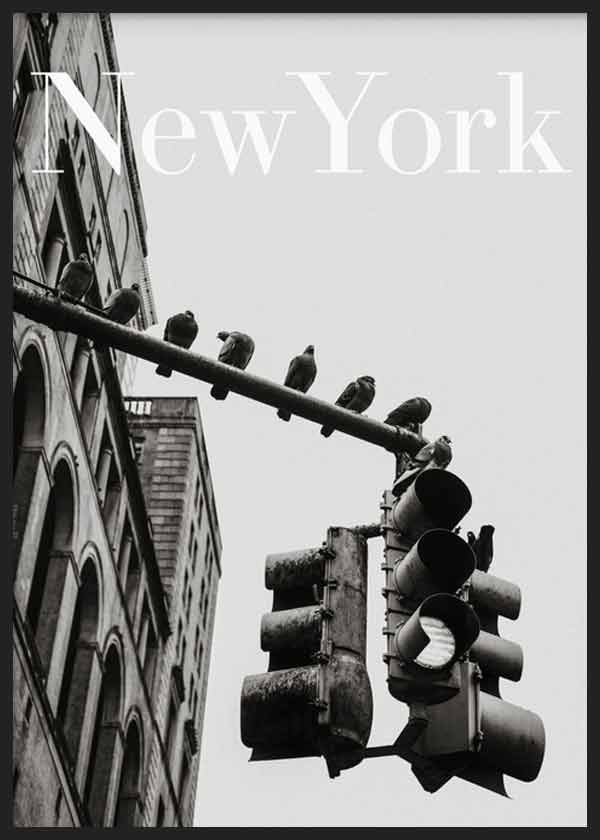cuadro para lámina decorativa fotográfica en blanco y negro de la ciudad de Nueva York, semáforo - kuadro