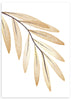 lámina decorativa de rama con hojas en tonos marrones. ilustración floral