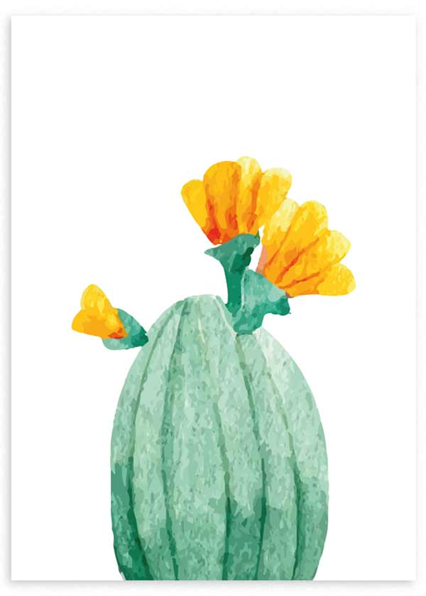 lamina decorativa de cactus con flor, ilustración - kuadro