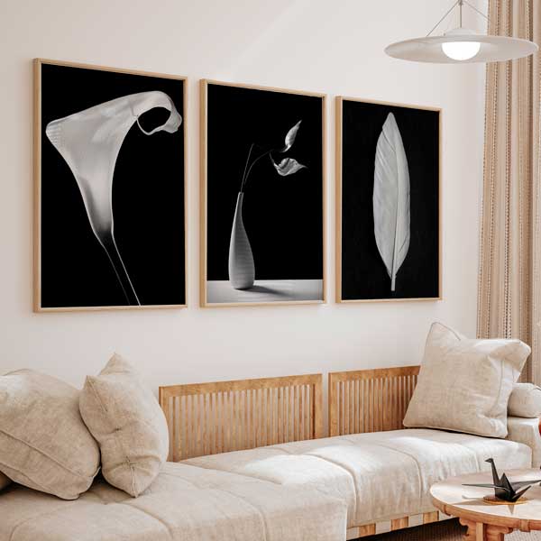 conjunto de tres cuadros fotográficos en blanco y negro con flores, encima del sofá - kuadro