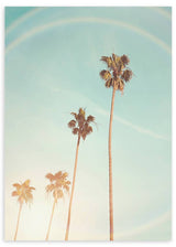 Cuadro fotográfico de palmeras con cielo claro al fondo. Una obra muy veraniega y fresca.