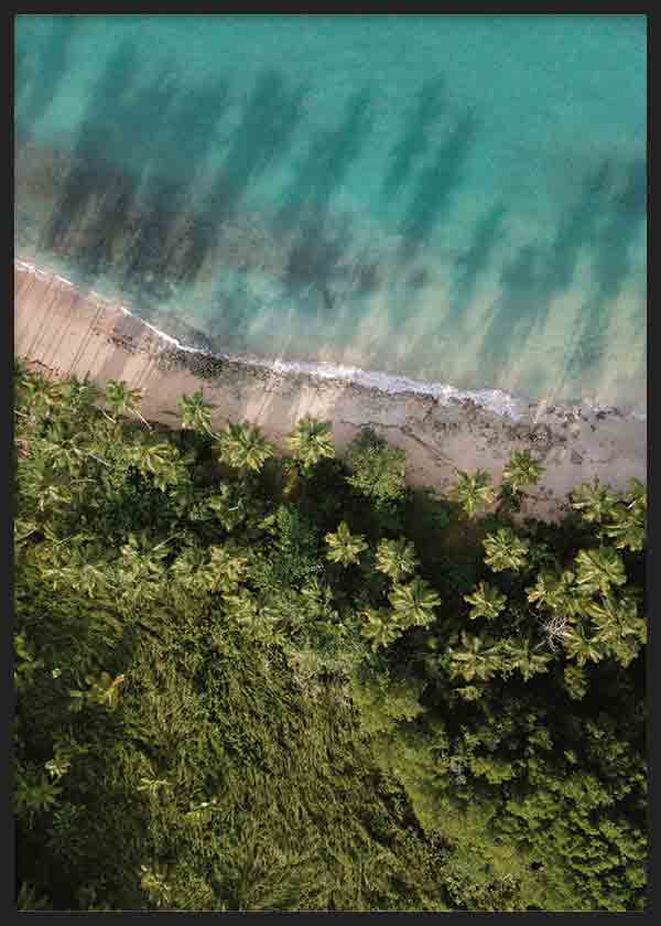 Cuadro fotográfico de palmeras y playa. Una obra muy veraniega y fresca, cargada del azul del cielo.