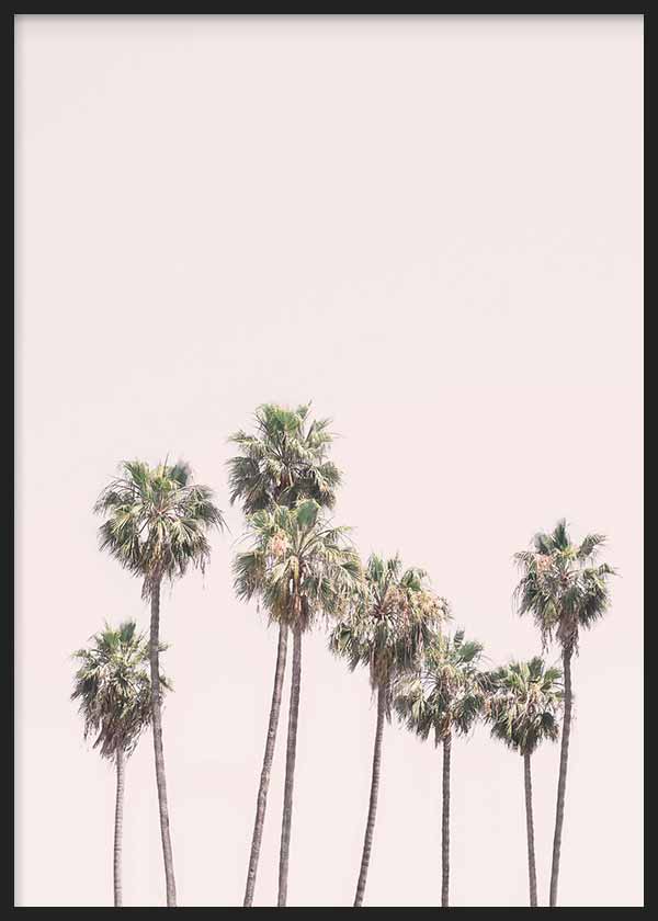 Cuadro fotográfico de palmeras y cielo rosado. Una obra muy veraniega y fresca.