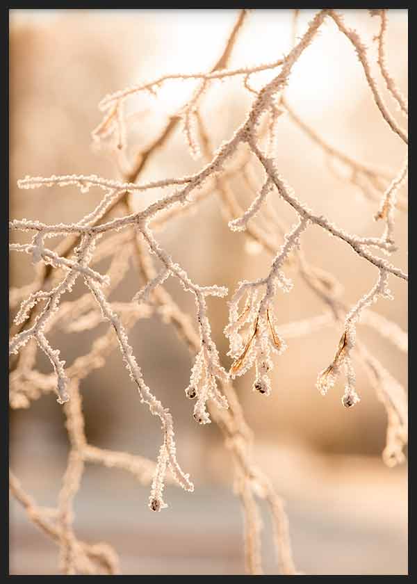 Cuadro de fotografía floral con árbol en invierno en tonos marrones y beige