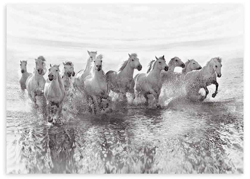 Cuadro en horizontal fotográfico de caballos corriendo en la playa en blanco y negro. Una obra con mucha fuera y carácter marcado