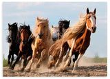 Cuadro en horizontal fotográfico de caballos corriendo en libertad