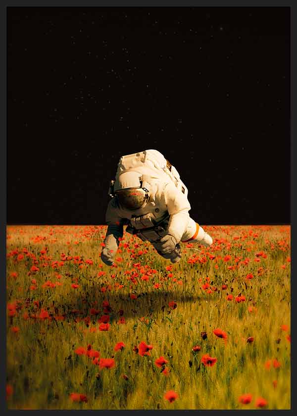 Cuadro collage de astronauta y campo de rosas. Una obra muy original y llena de imaginación.