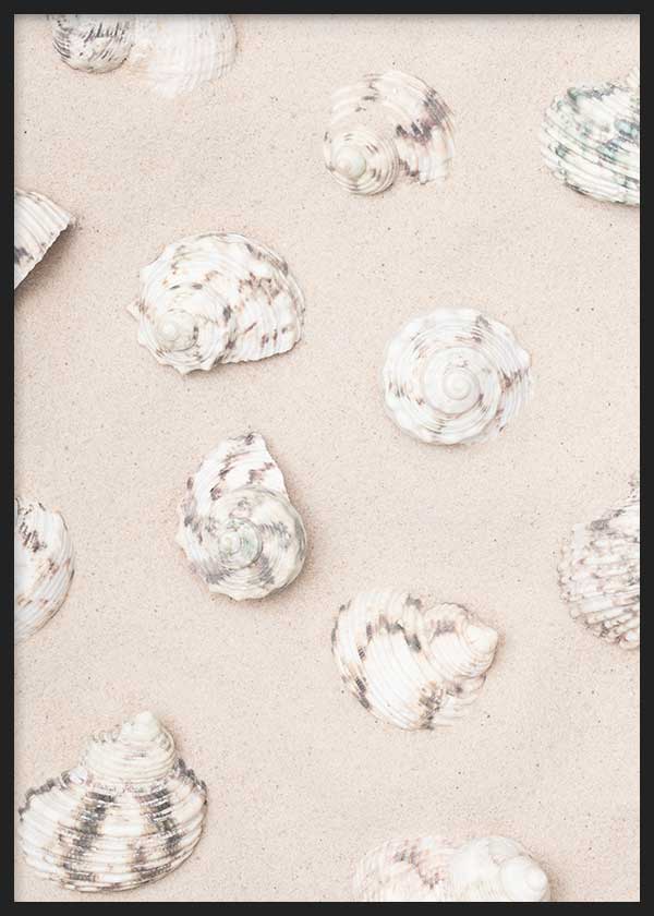 Cuadro fotográfico de conchas y caracolas en la playa. Una obra muy veraniega.
