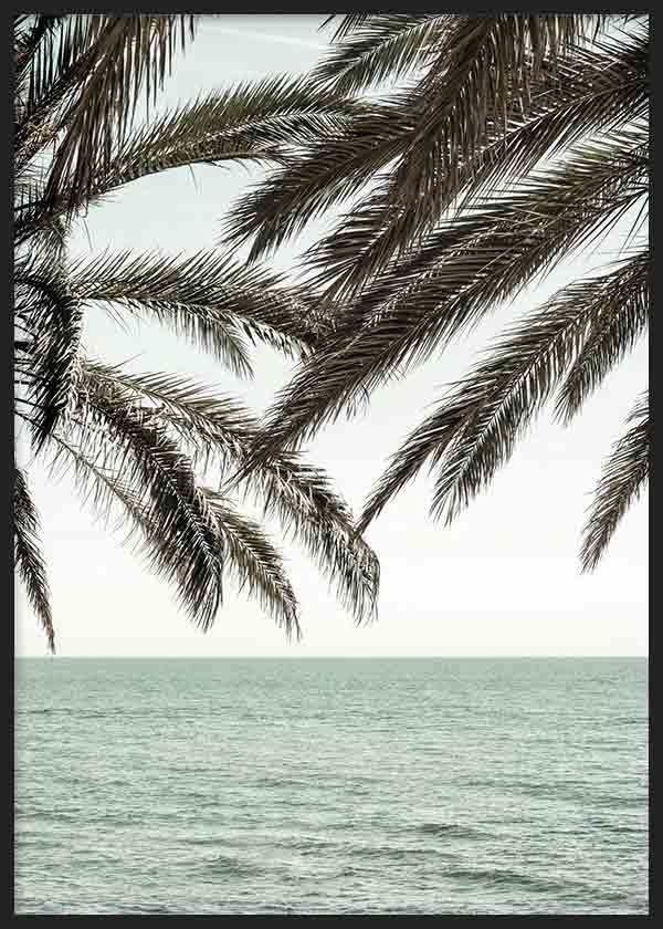cuadro lámina decorativa de palmeras y playa con colores azules - kuadro