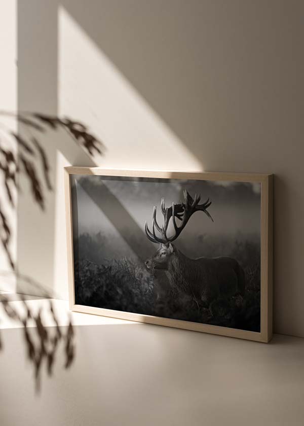 Cuadro en horizontal fotográfico de reno dentro del bosque en blanco y negro