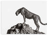 Cuadro en horizontal fotográfico de leopardo en blanco y negro
