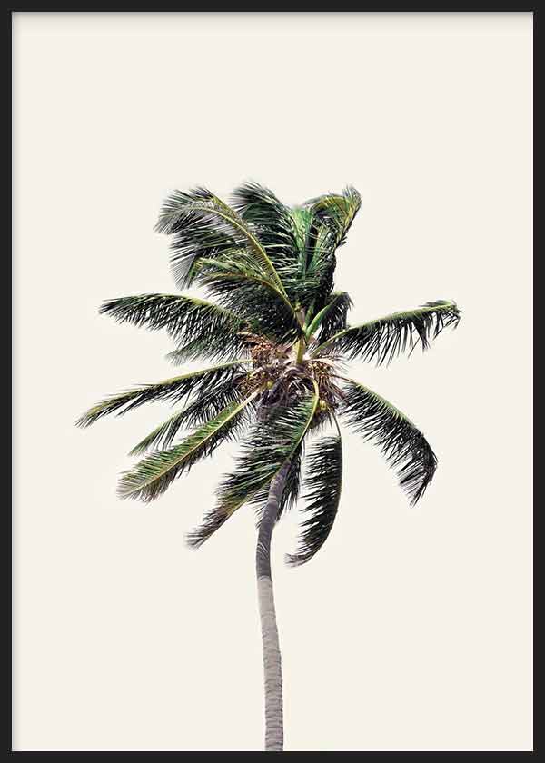 Cuadro fotográfico de palmera y fondo amarillo claro. Una obra muy veraniega y fresca.