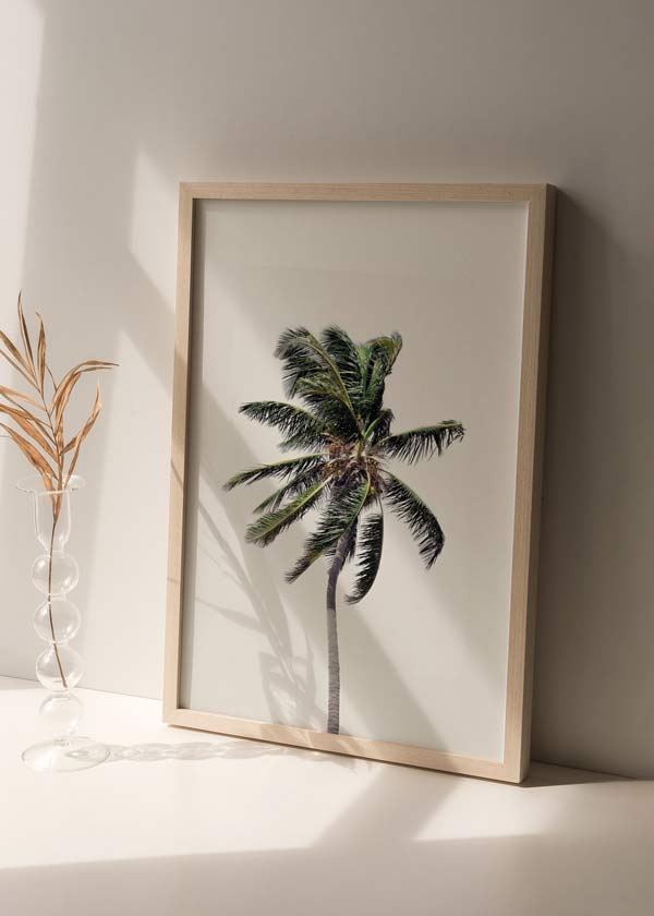decoración con cuadros, ideas - Cuadro fotográfico de palmera y fondo amarillo claro. Una obra muy veraniega y fresca. 