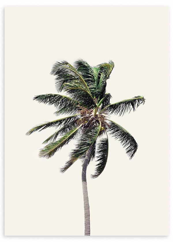 Cuadro fotográfico de palmera y fondo amarillo claro. Una obra muy veraniega y fresca.