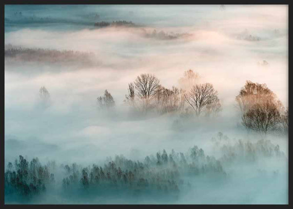Cuadro horizontal y fotográfico de bosque y niebla