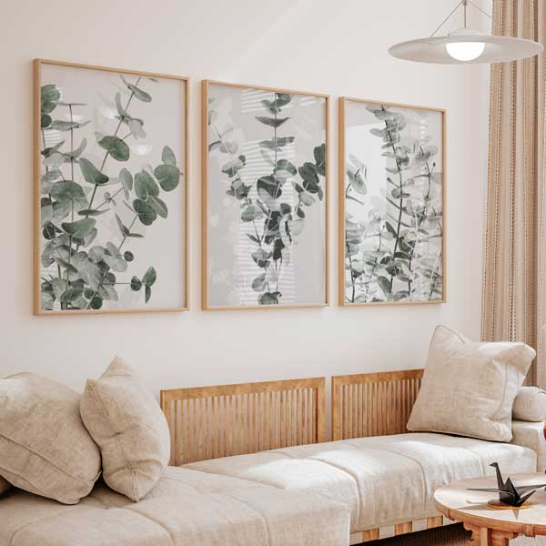 conjunto de cuadros con foto de eucaliptos en estilo decorativo nórdico - kuadro
