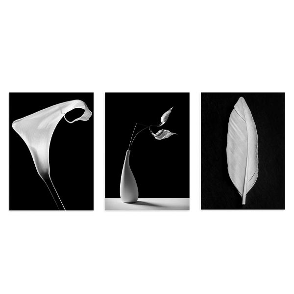 conjunto de tres cuadros fotográficos en blanco y negro de flores - kuadro