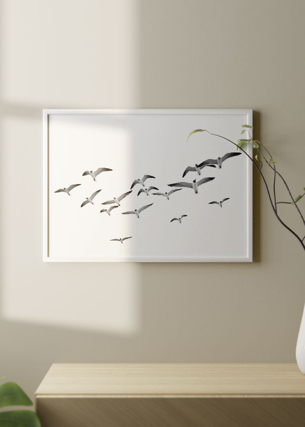 decoración con cuadros, ideas - lámina decorativa fotográfica horizontal en blanco y negro de pájaros volando - kuadro