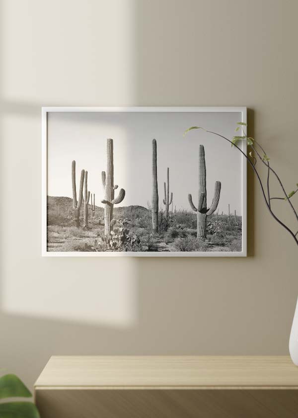 decoración con cuadros, ideas - lámina decorativa de cactus en el desierto, fotografía horizontal en blanco y negro - kuadro