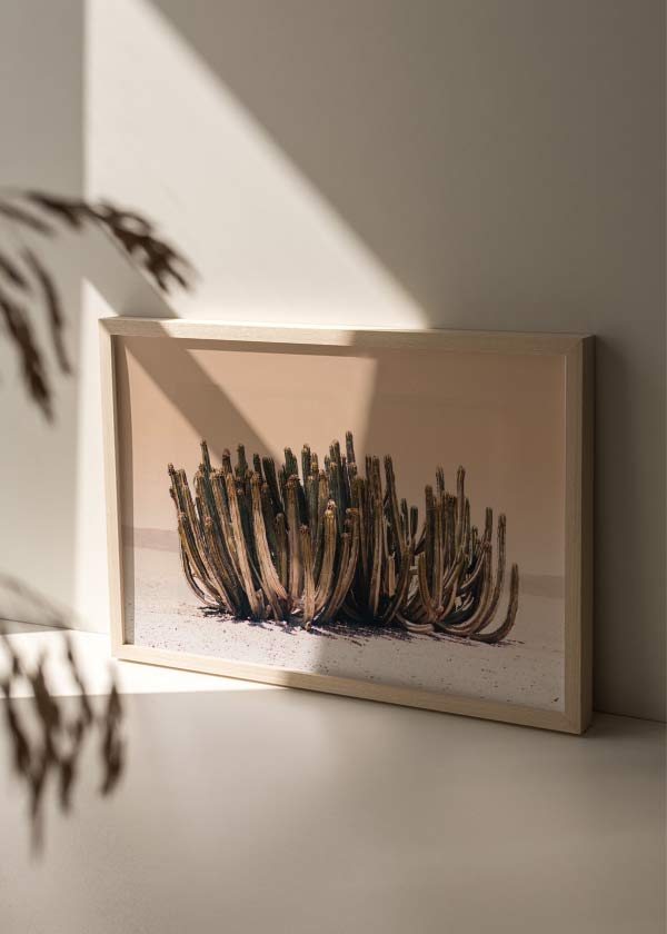 decoración con cuadros, ideas -lámina decorativa horizontal y fotográfica de cactus en el desierto - kuadro