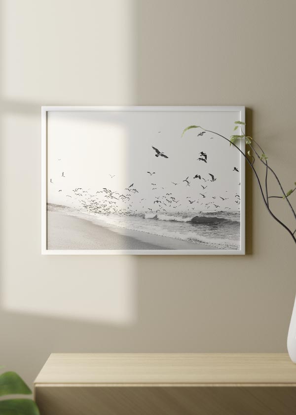 decoración con cuadros, ideas - lámina decorativa fotográfica en blanco y negro con pájaros volando y playa - kuadro