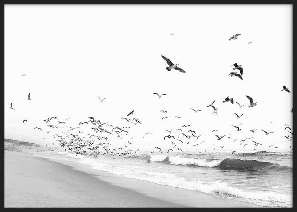 cuadro lámina decorativa fotográfica en blanco y negro con pájaros volando y playa - kuadro