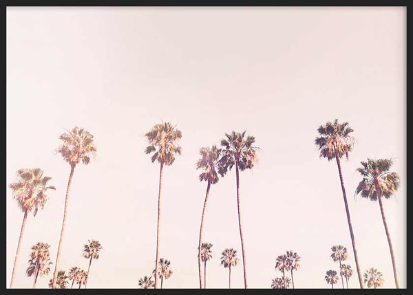 cuadro lámina decorativa horizontal de paisaje con palmeras y cielo rosado - kuadro