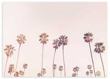 lámina decorativa horizontal de paisaje con palmeras y cielo rosado - kuadro