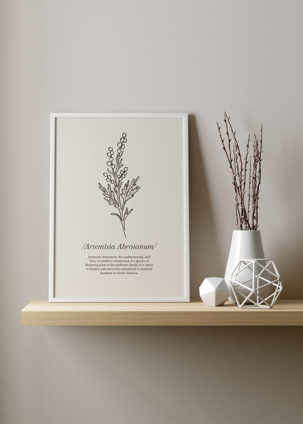 Decoración con cuadros, ideas -  lámina decorativa ilustración de flor artemisia con fondo beige