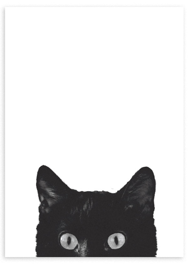 lámina decorativa para cuadro con gato negro sobre fondo blanco