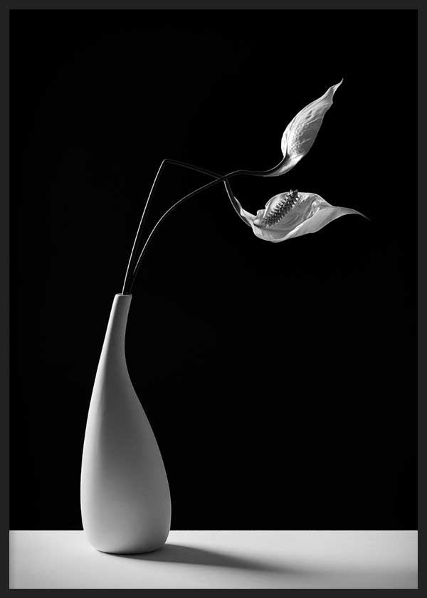 cuadro para lámina decorativa de fotografía de jarrón y flor en blanco y negro - kuadro