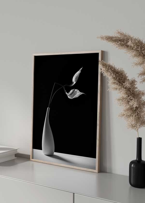 decoración con cuadros, ideas - lámina decorativa de fotografía de jarrón y flor en blanco y negro - kuadro