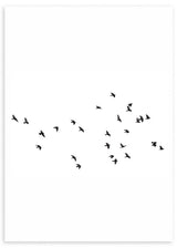 lámina decorativa de pájaros en blanco y negro