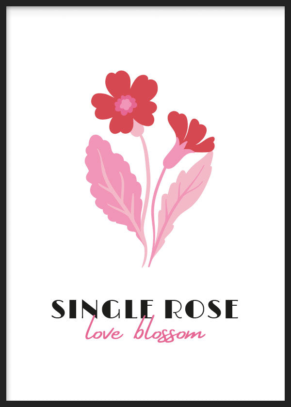 cuadro para lámina decorativa de flor (rosa) sobre fondo blanco, ilustración floral. Marco negro