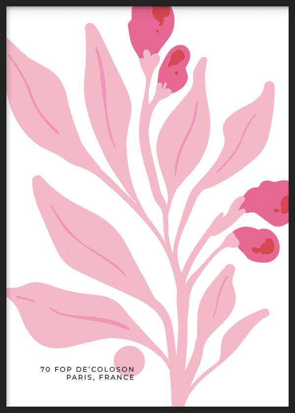 cuadro para lámina decorativa de ilustración de flor rosa sobre fondo blanco. Marco negro