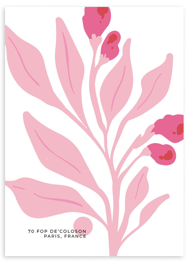 lámina decorativa de ilustración de flor rosa sobre fondo blanco.
