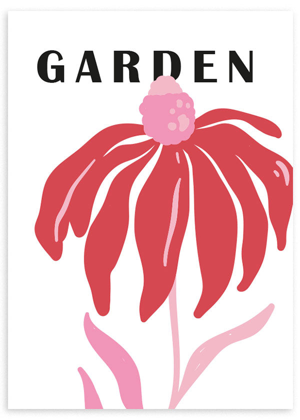 lámina decorativa de flor roja y rosa con palabra "garden". Ilustración moderna de flor.