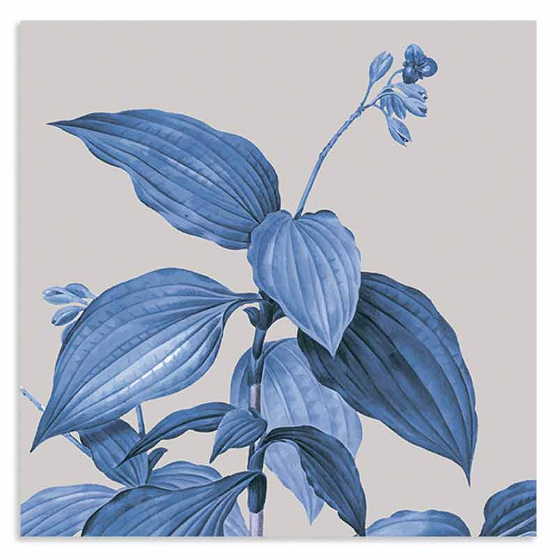 cuadro de ilustración de flores vintage. Lámina decorativa floral en tonos verdosos-azules.