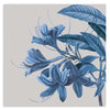 cuadro de ilustración de flor vintage. Lámina decorativa floral