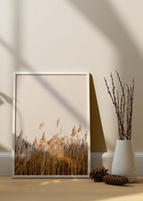 Decoración con cuadros, ideas -  lámina decorativa de fotografía de un campo de trigo