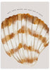lámina decorativa de ilustración de concha, cuadro para playa, marino, nórdico