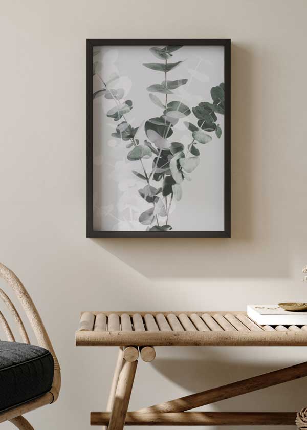 decoración con cuadros, ideas - lámina decorativa de flor de eucalipto en estilo nórdico - kuadro