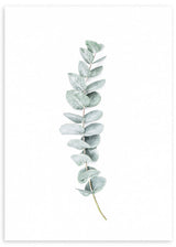 lámina decorativa de eucalipto en estilo nórdico - kuadro