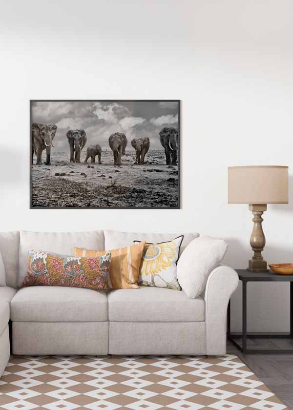 decoración con cuadros, ideas - lámina decoratifa fotográfica en blanco y negor en horizontal de familia de elefantes - kuadro