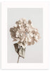 lámina decorativa fotográfica y floral de estilo nórdico y tonos beige - kuadro