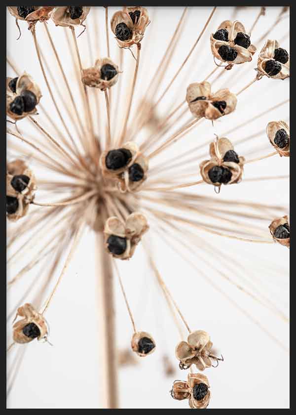 cuadro para lámina decorativa fotográfica de flor seca, estilo nórdico - kuadro